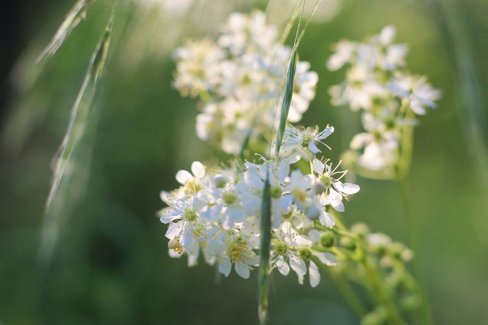 Photograph by Елена Носова