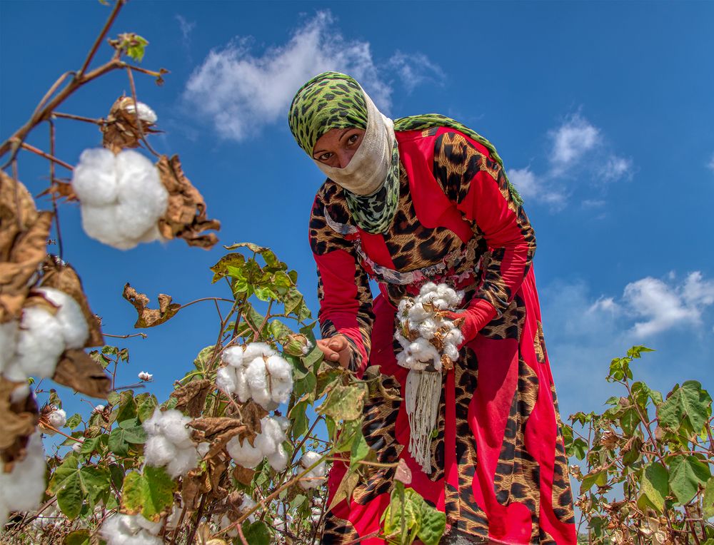 Фотография автора Mehmet Gokyigit