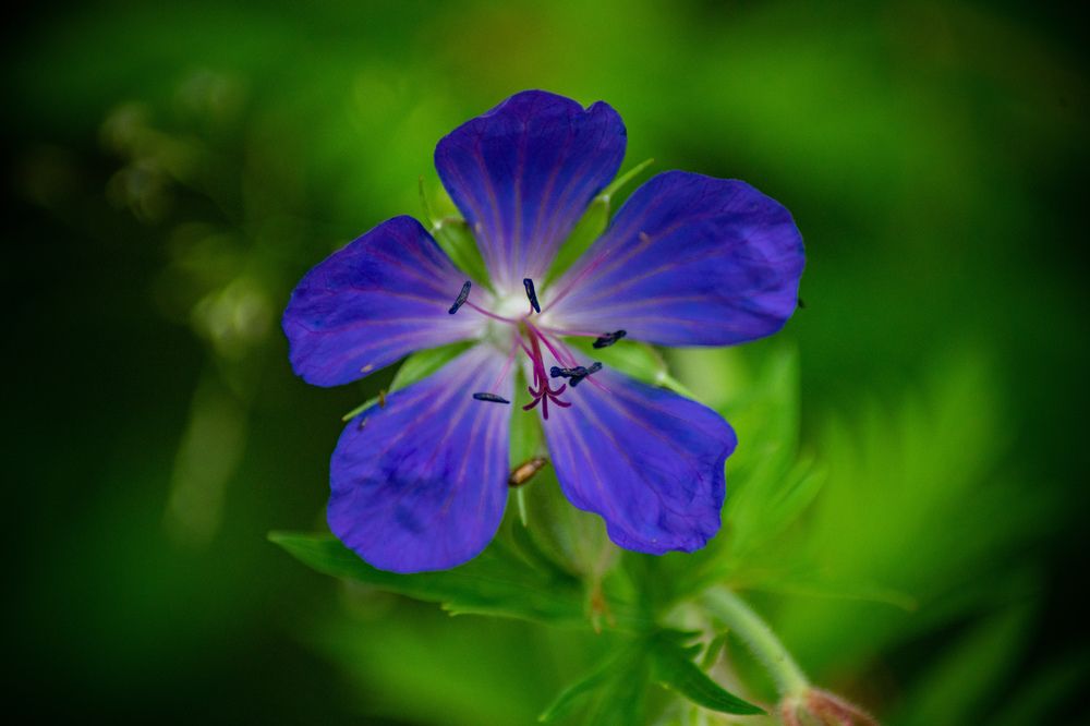 Photograph by Екатерина Абросова