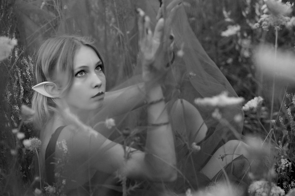 Фотография автора Ольга Дудко