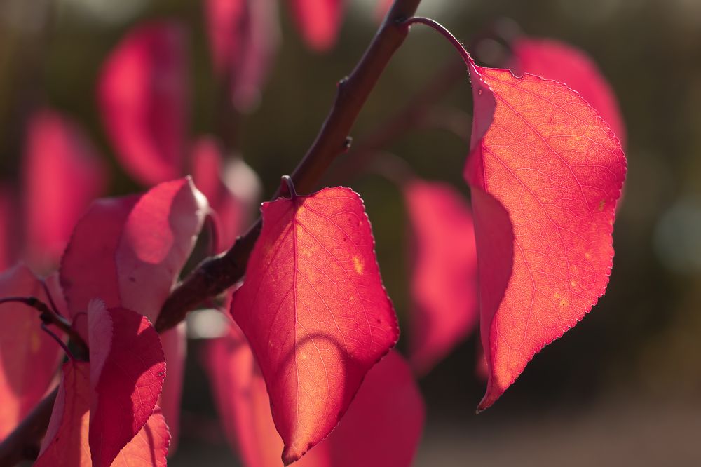 Photograph by Елена Носова