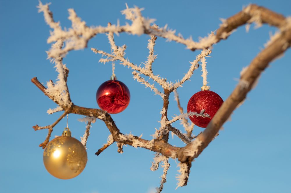 Photograph by Елена Носова