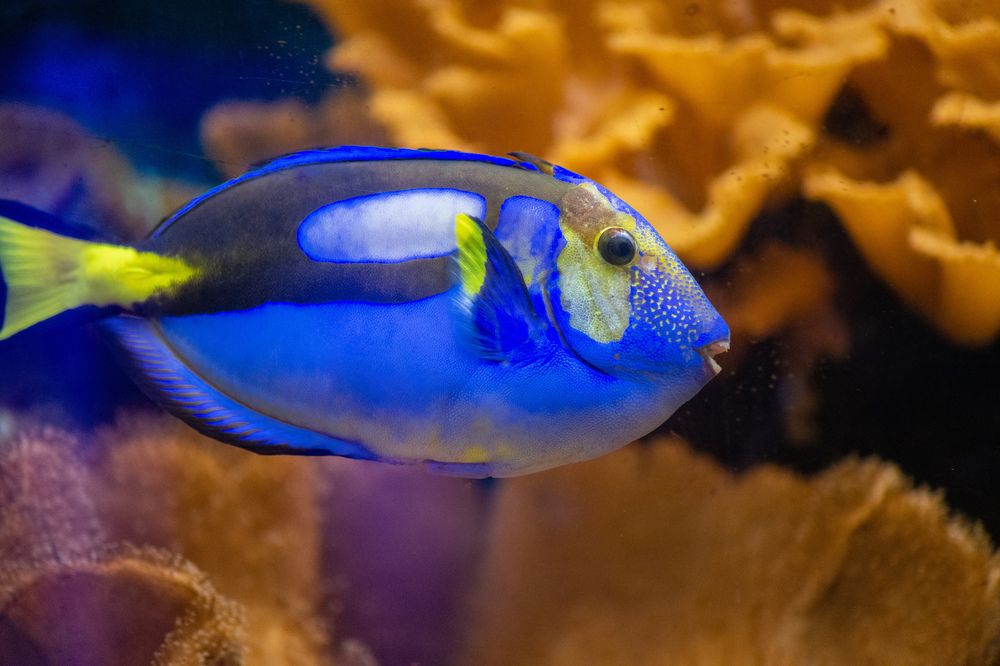 Photograph by Екатерина Абросова