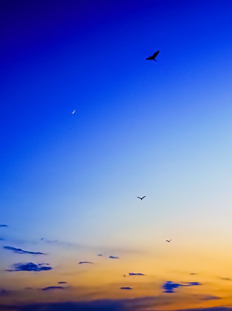 Photograph by Shubhadip Das