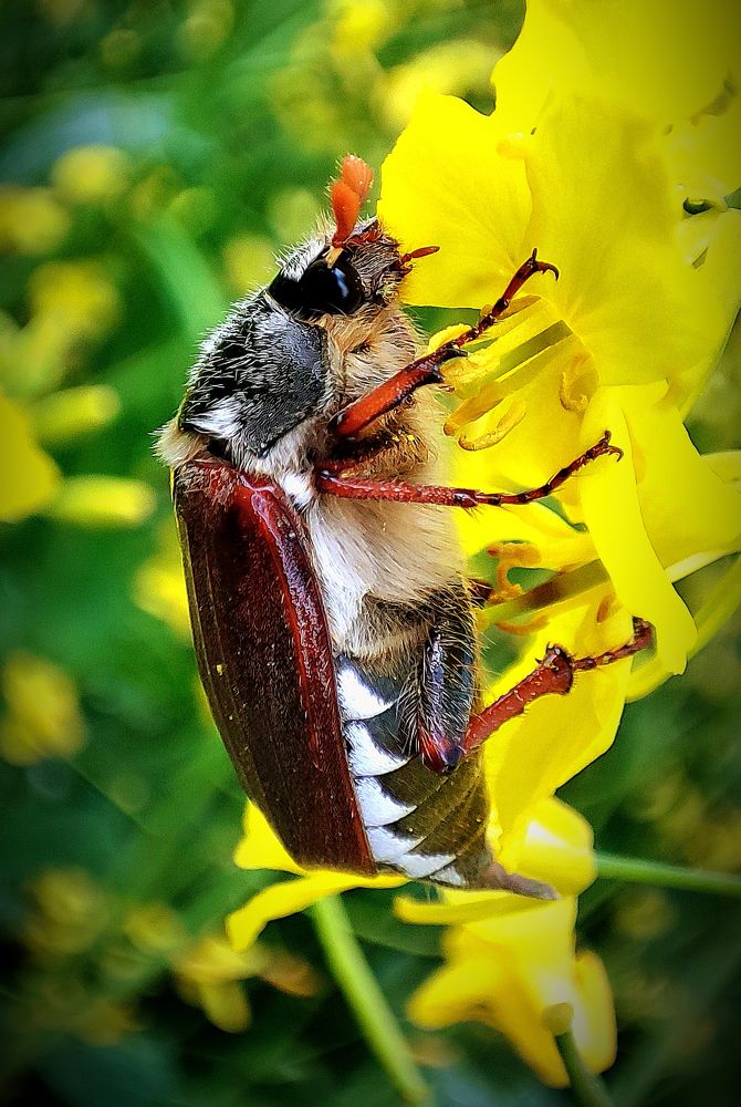 Photograph by Павел Минкевич