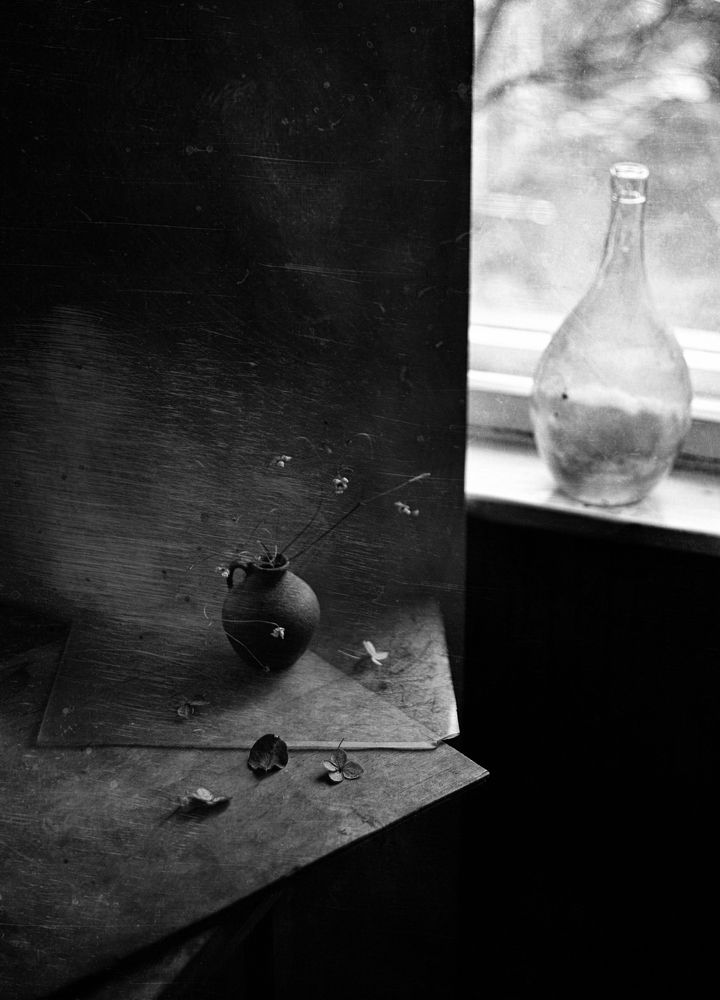 Photograph by Мария Сапего