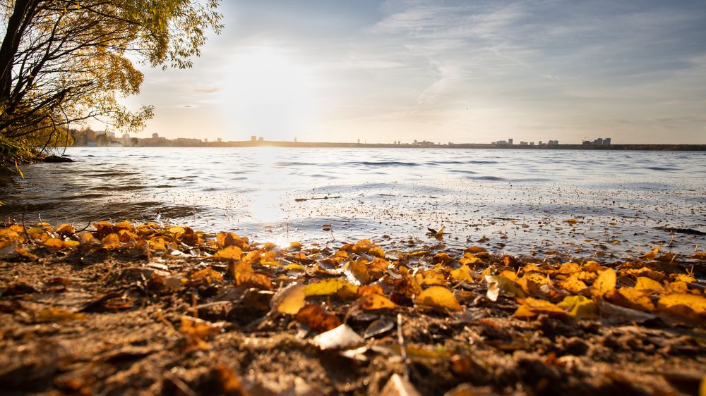 Photograph by Екатерина Абросова