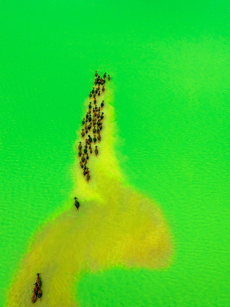 Photograph by Dinh Phong