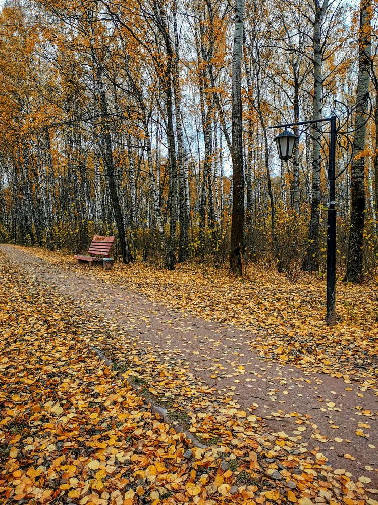 Photograph by Владимир Крылов