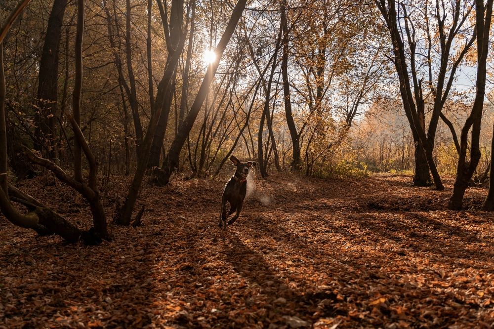 Photograph by Ольга Глазунова