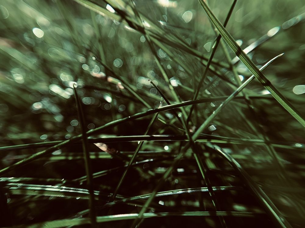 Photograph by Irina Timonina