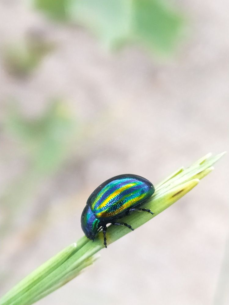 Photograph by Elena Kilina