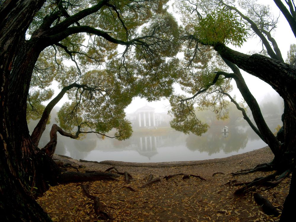 Photograph by Иван Труфанов