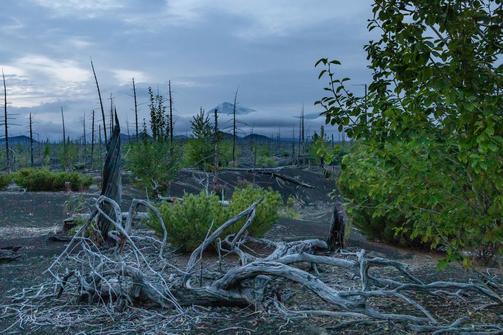 Photograph by Татьяна Тарасова