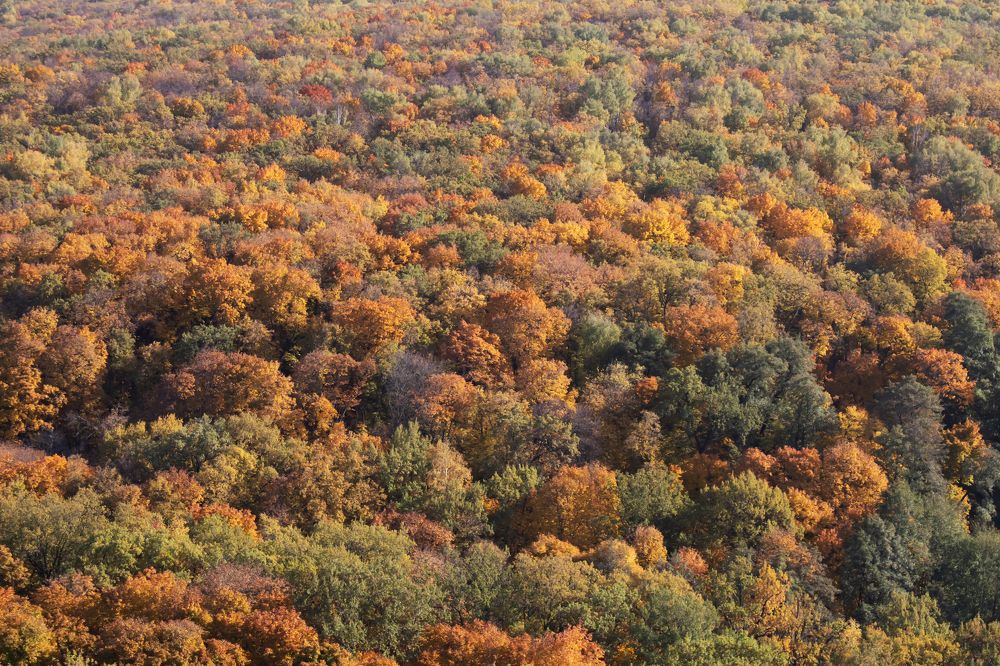 Photograph by Елена Носова