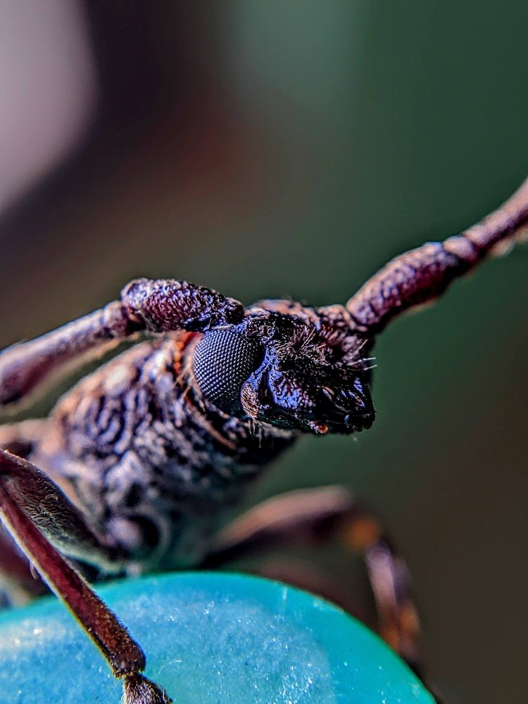 Photograph by Sai Pixels