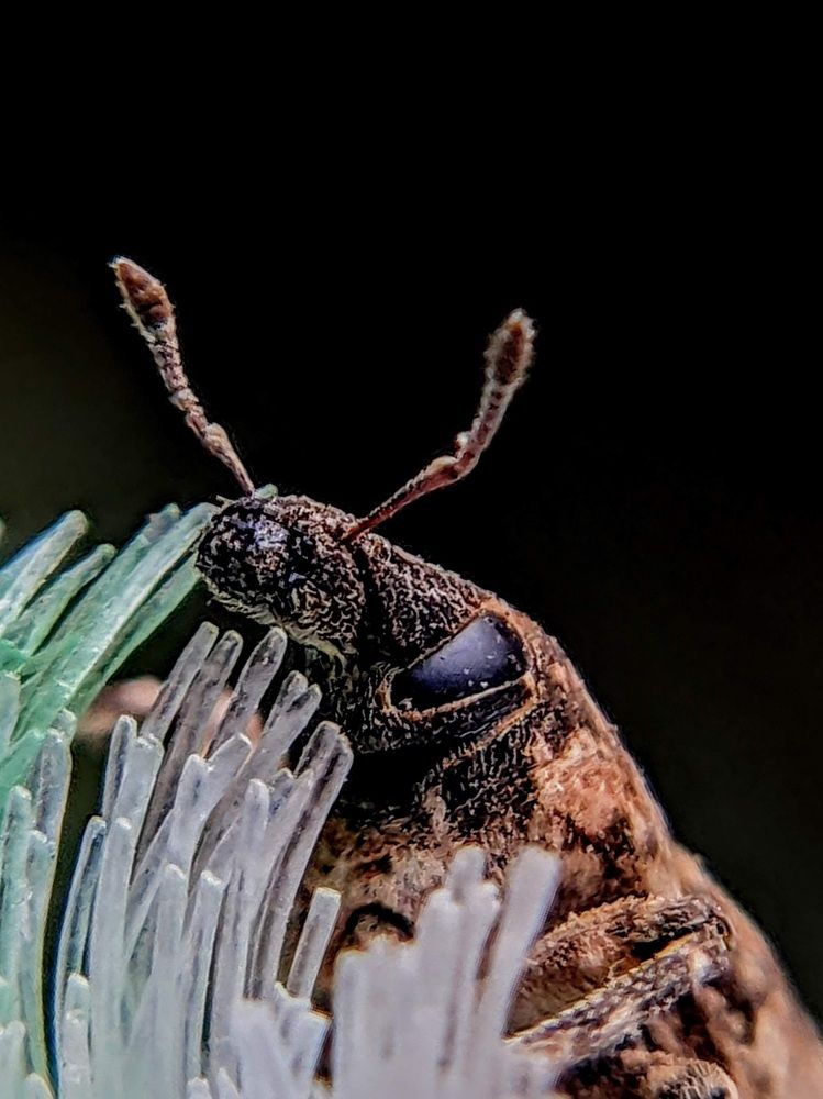 Photograph by Sai Pixels