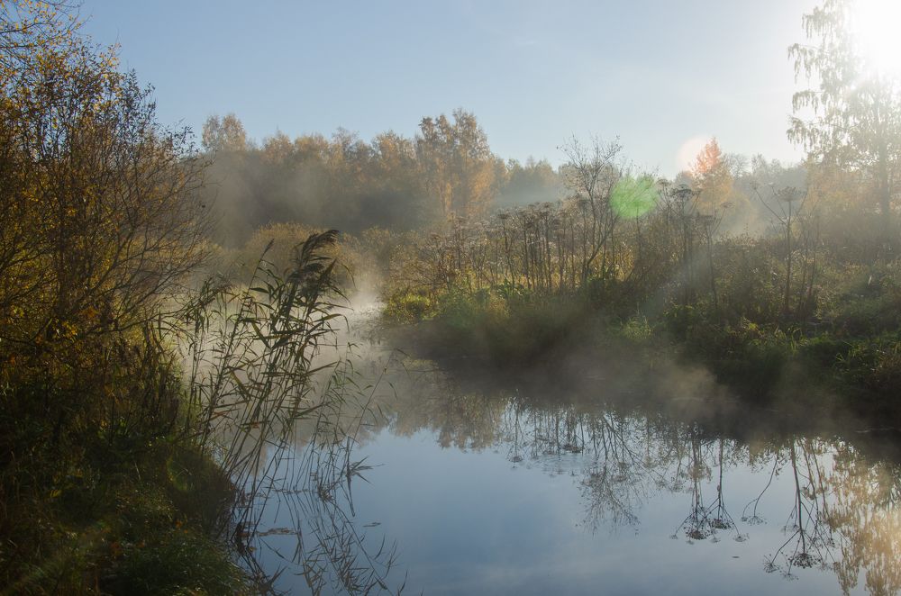 Photograph by Елена Аверина