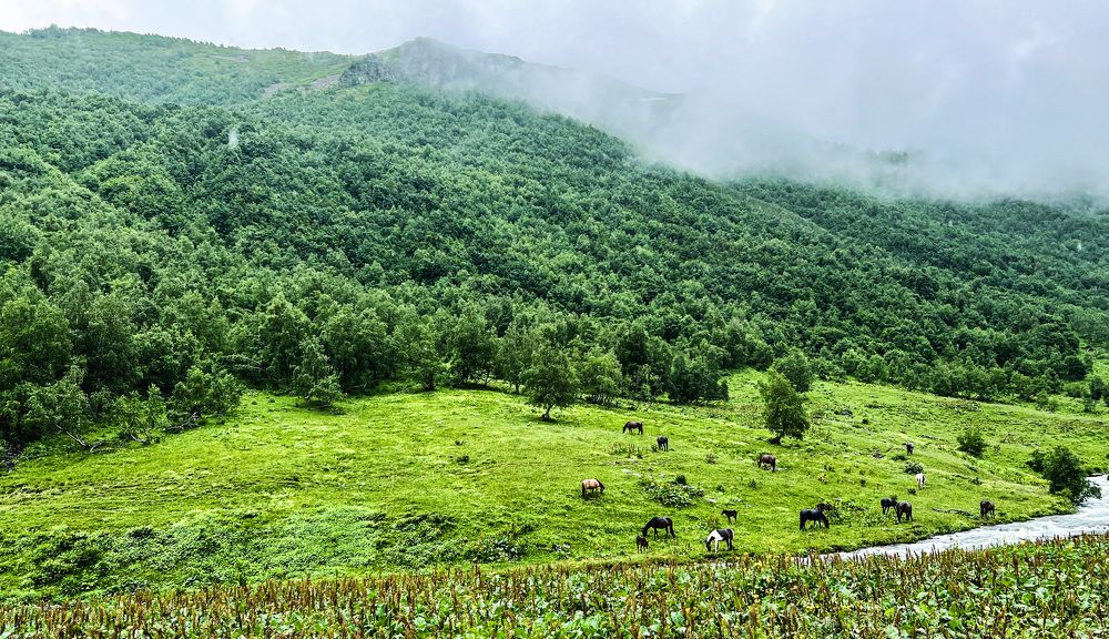 Photograph by Максим Комиссаров