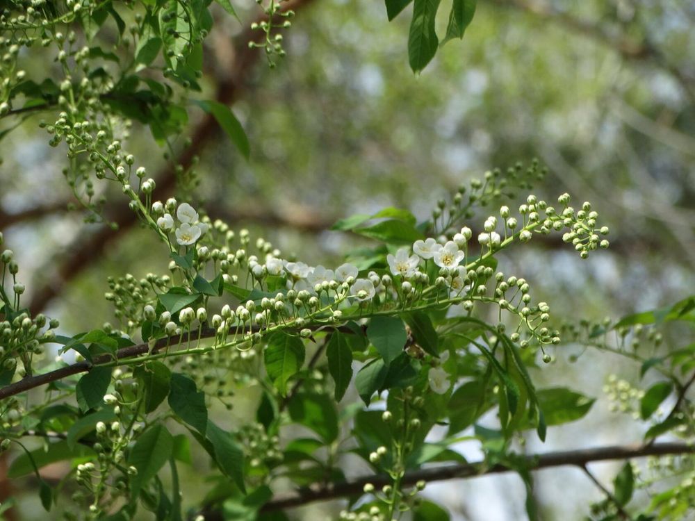 Photograph by Анжелика Трошина