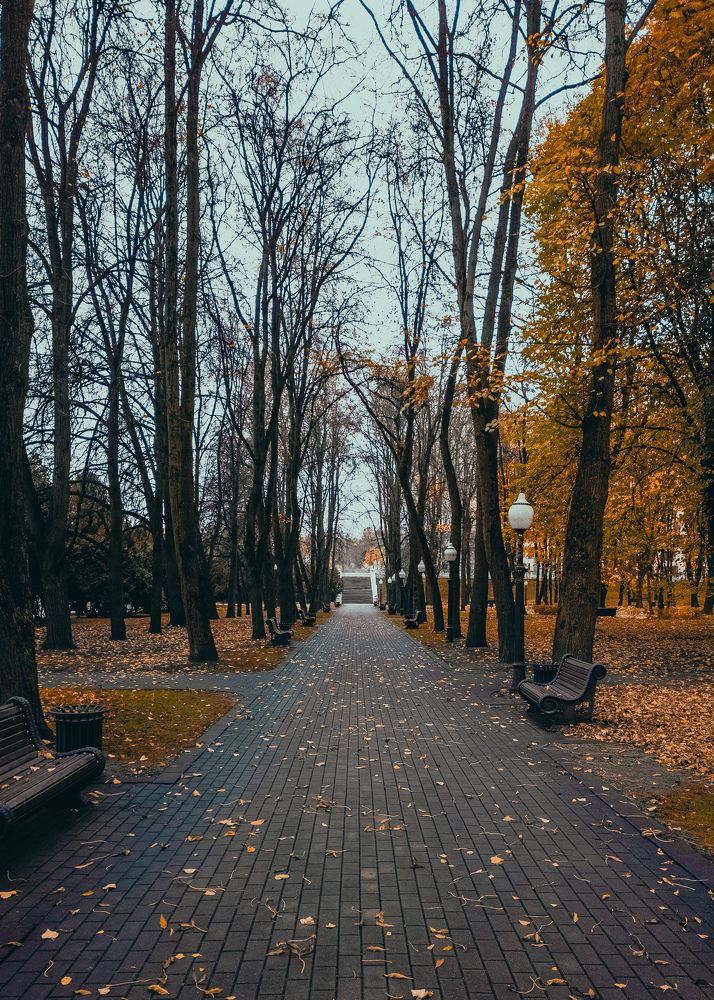 Photograph by Алексей Крукович