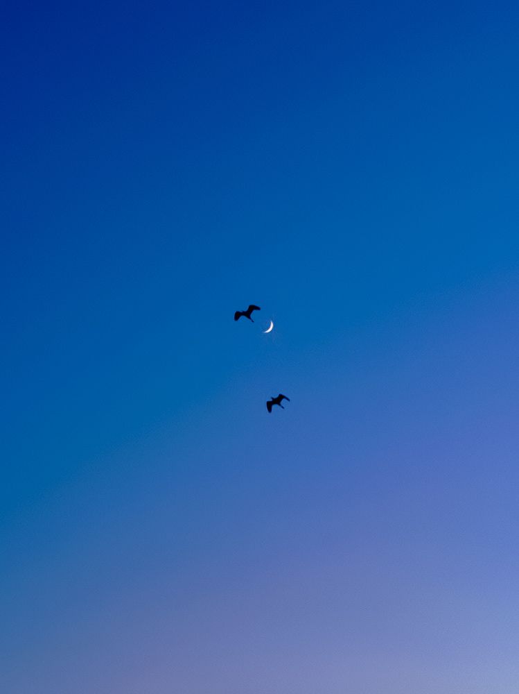 Photograph by Shubhadip Das