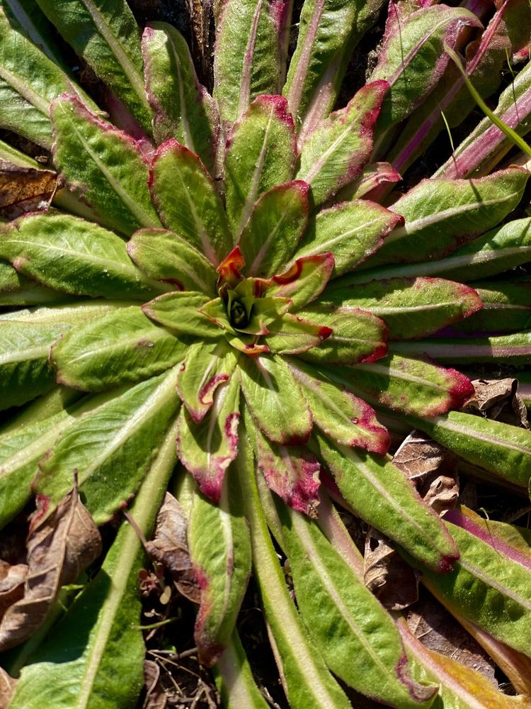 Photograph by Светлана Ткаченко