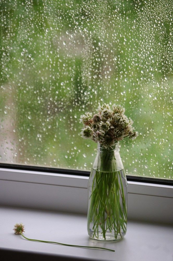 Photograph by Светлана Герасимчук