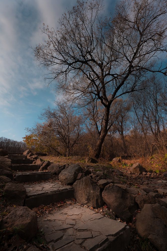 Фотография автора Дмитрий Ляшеев