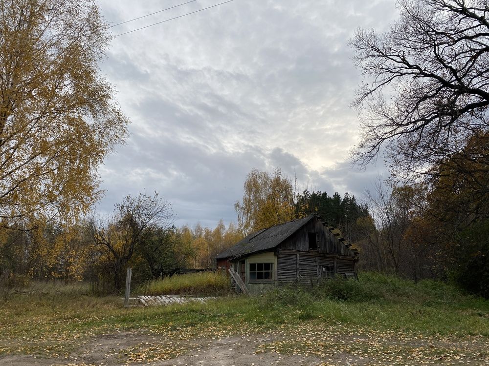 Photograph by Елена Гущина