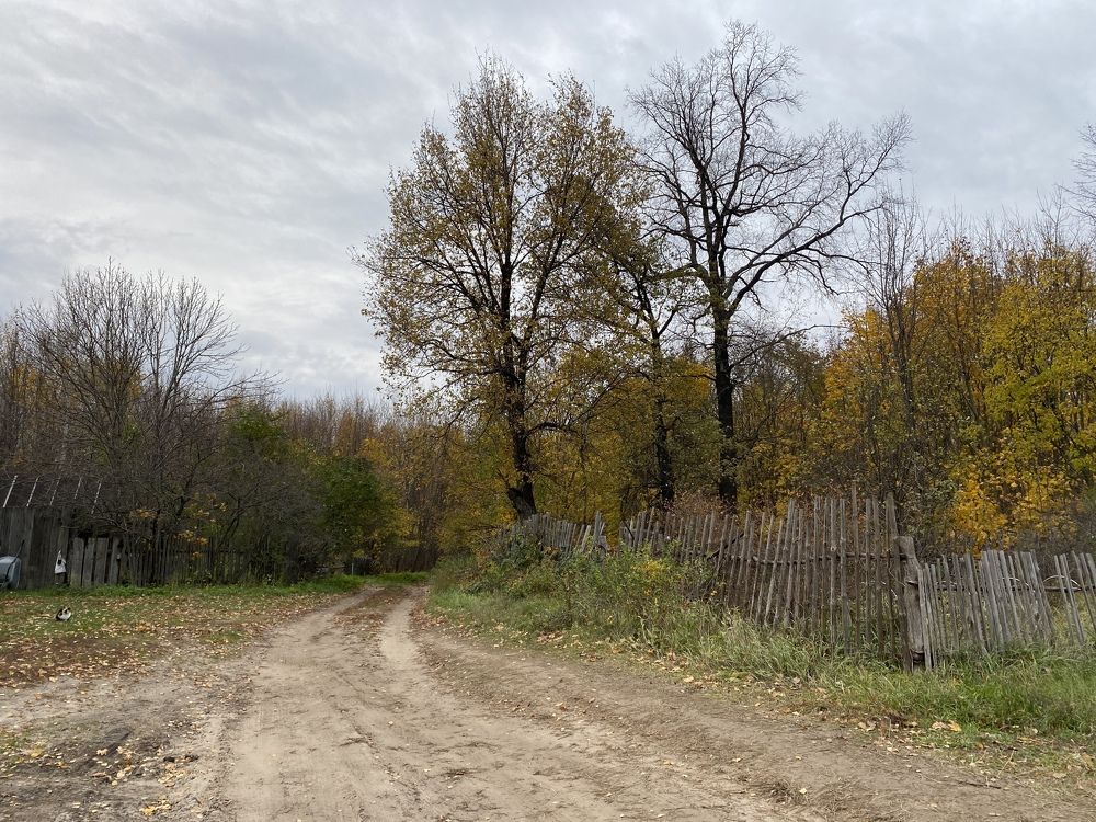 Photograph by Елена Гущина