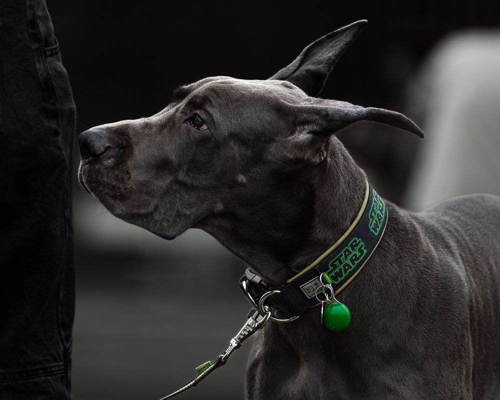 Photograph by Екатерина Корнева