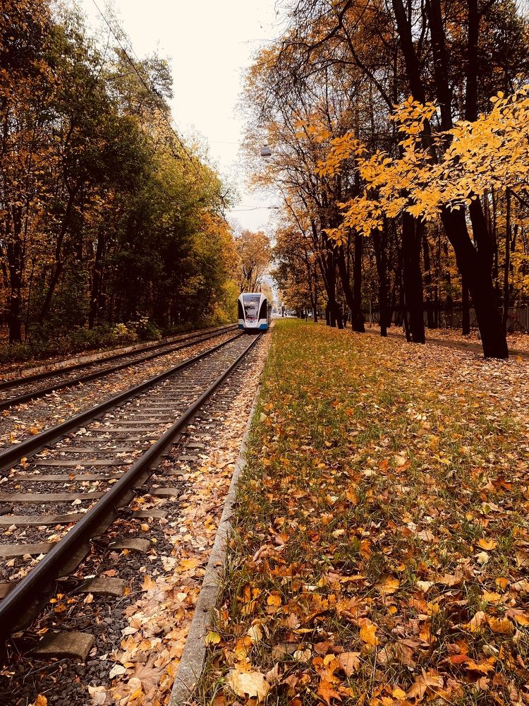 Фотография автора Galina Sa