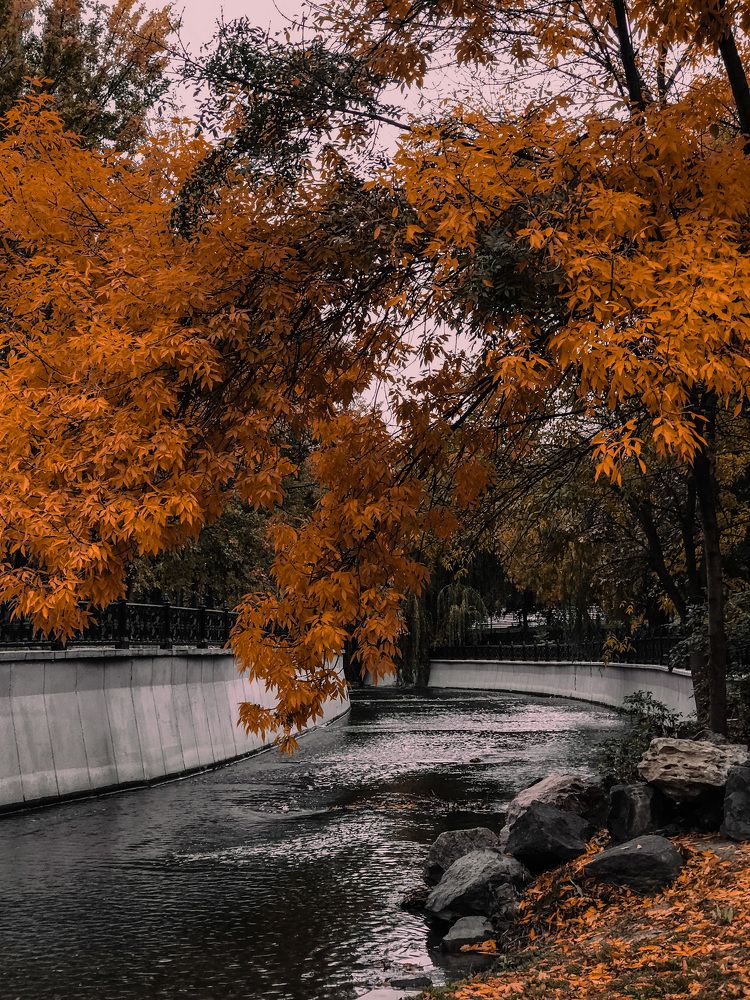 Photograph by Мария Погорелова