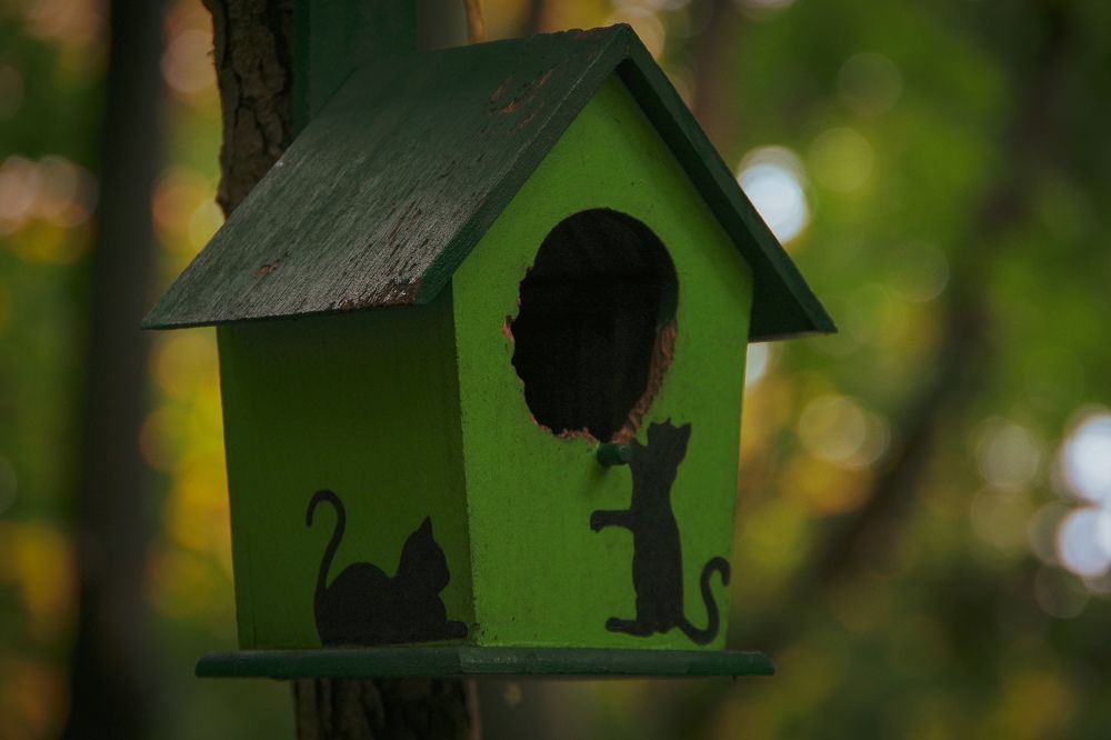 Photograph by Елена Щитова