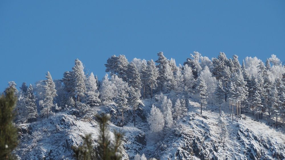 Photograph by МАрина Соловьева