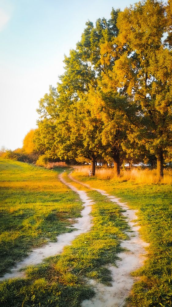 Photograph by Людмила Казак