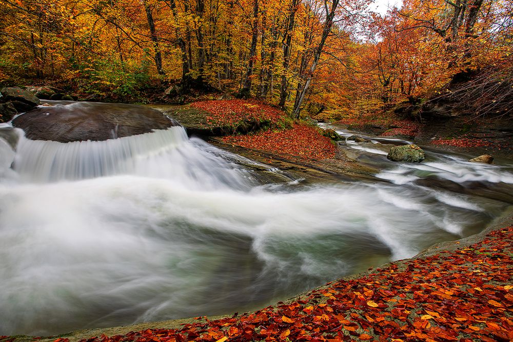 Photograph by Plamen