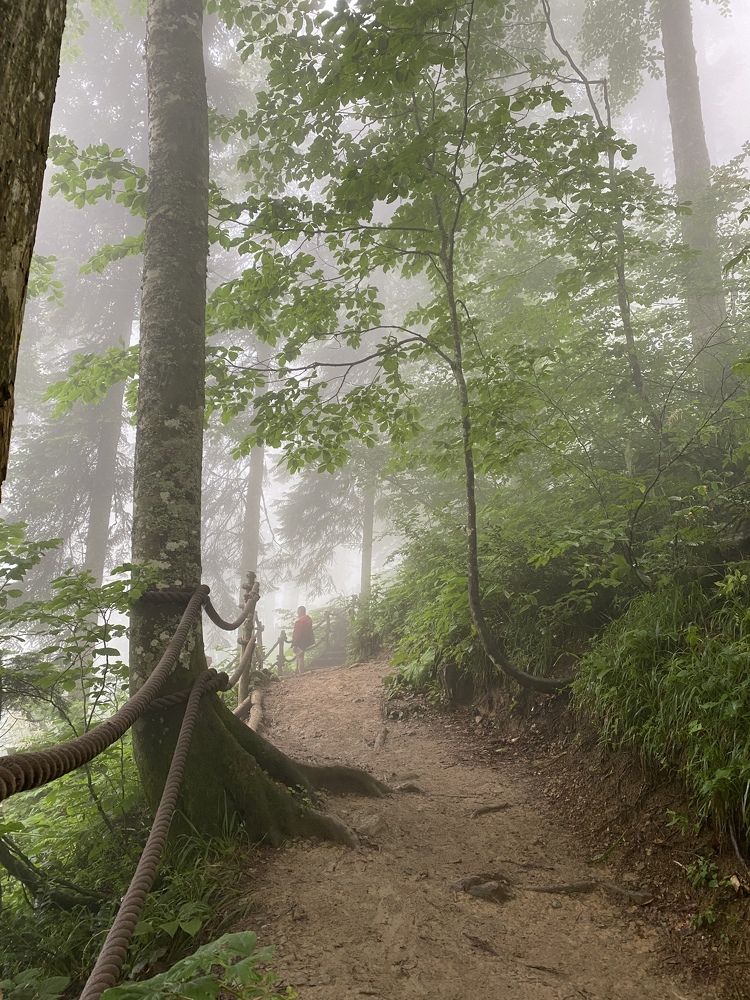 Photograph by Елена Гущина