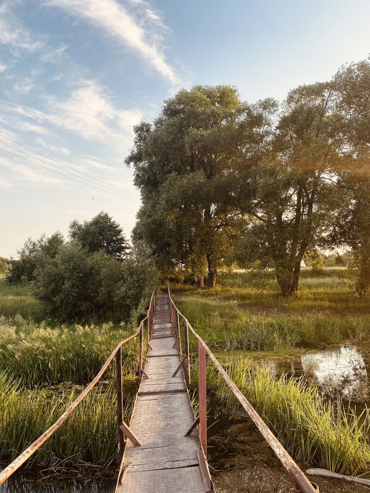 Photograph by Елена Гущина