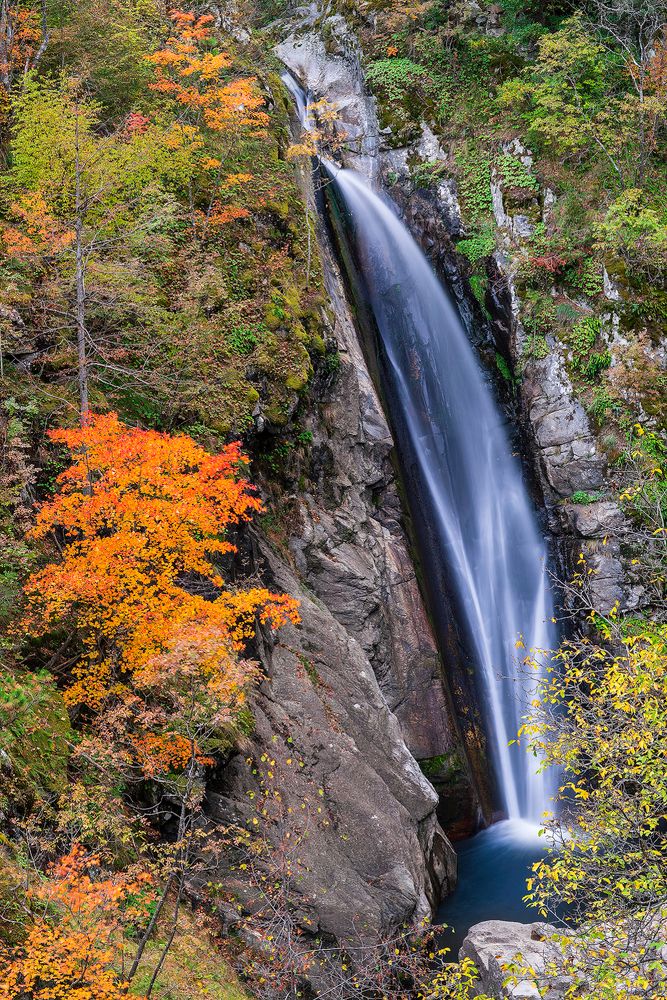 Photograph by Plamen