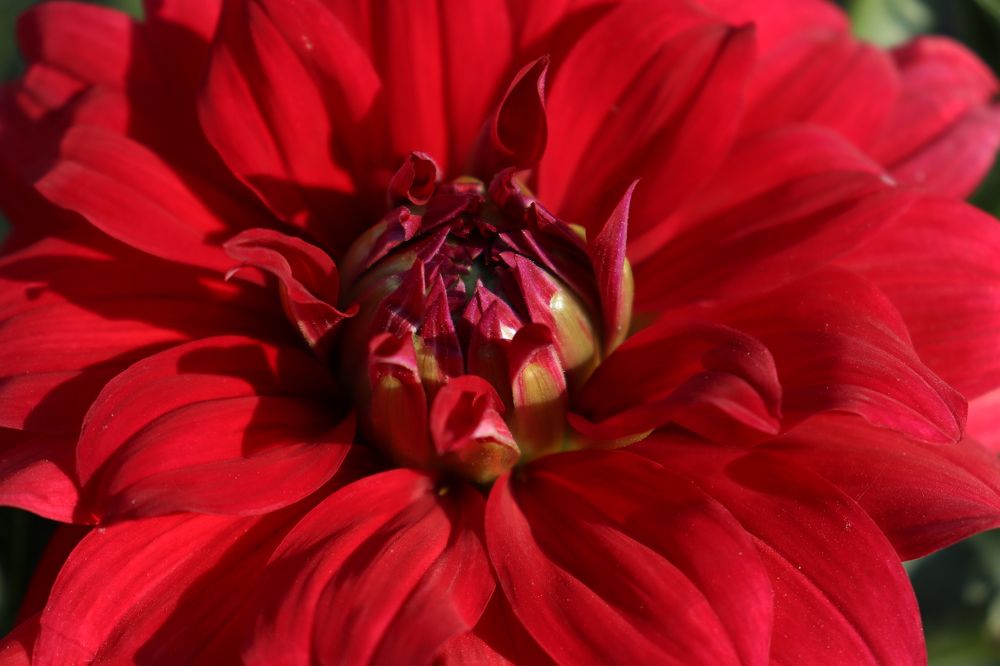 Photograph by Анна Горбунова