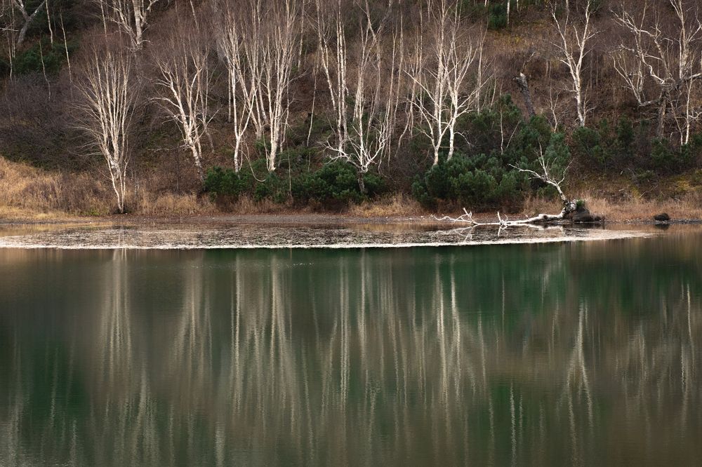 Абстракция в природе