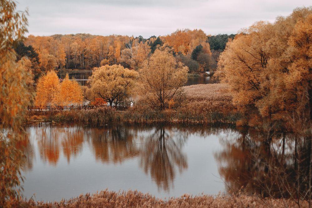 Photograph by Татьяна