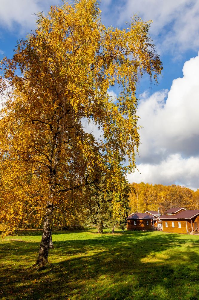 Photograph by Татьяна Новикова