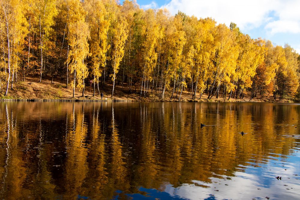Photograph by Татьяна Новикова