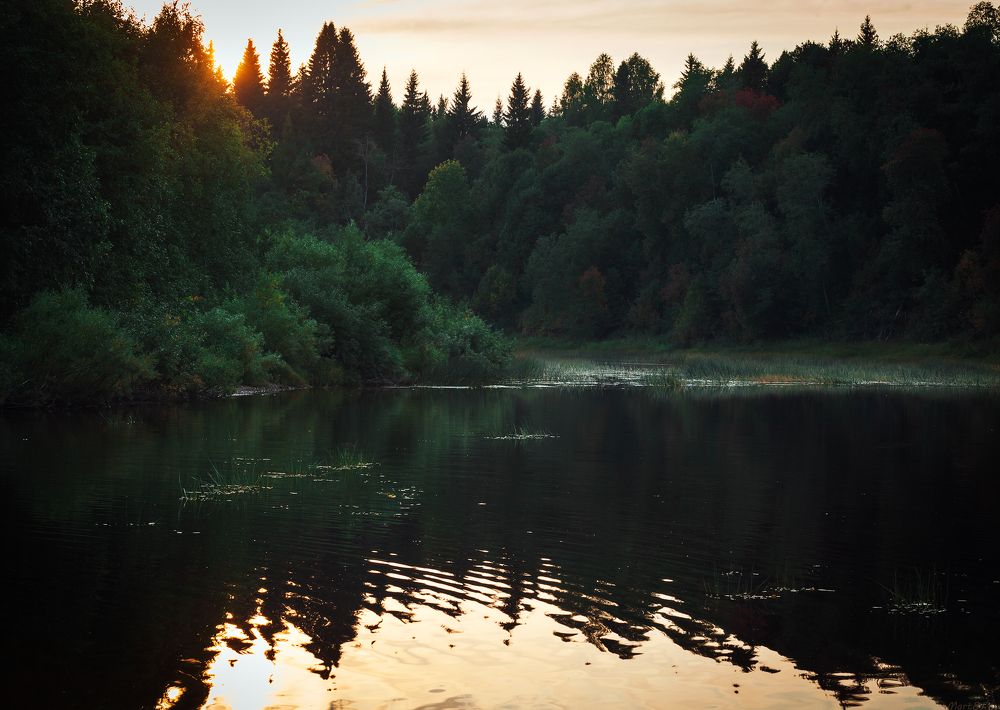 Photograph by Александр Кузнецов