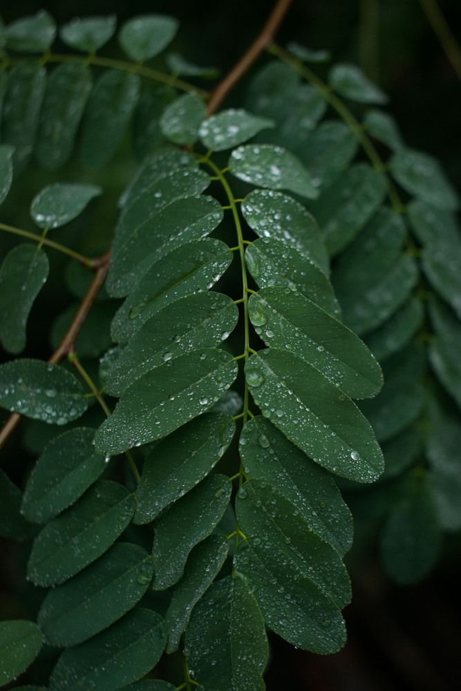 Photograph by Анастасия Исайкина