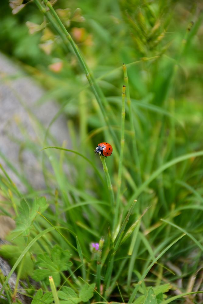 Photograph by Валентина