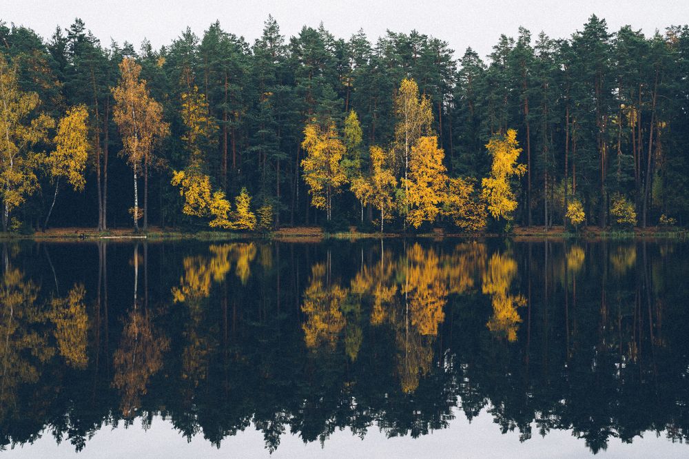 Photograph by Денис